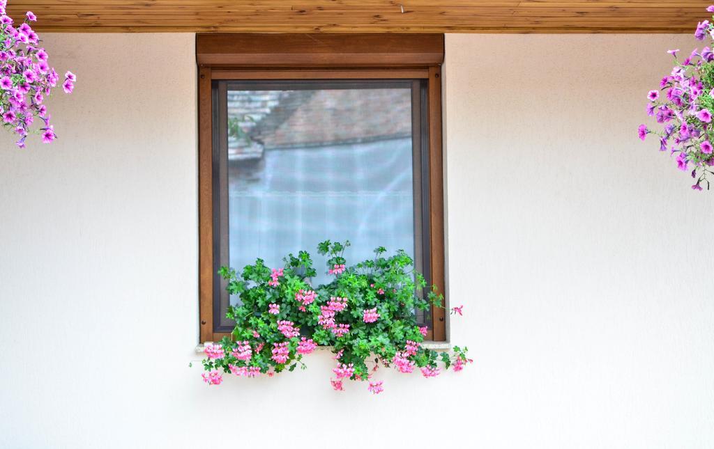 Pava Apartmanhaz Мако Экстерьер фото